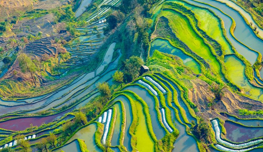 宝妈必备神器：山阳区产品视频拍摄轻松育儿好帮手
