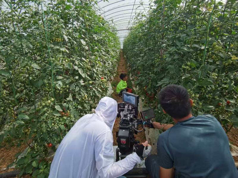 山阳区产品宣传视频拍摄公司进阶指南，助力品牌抢占传播高地